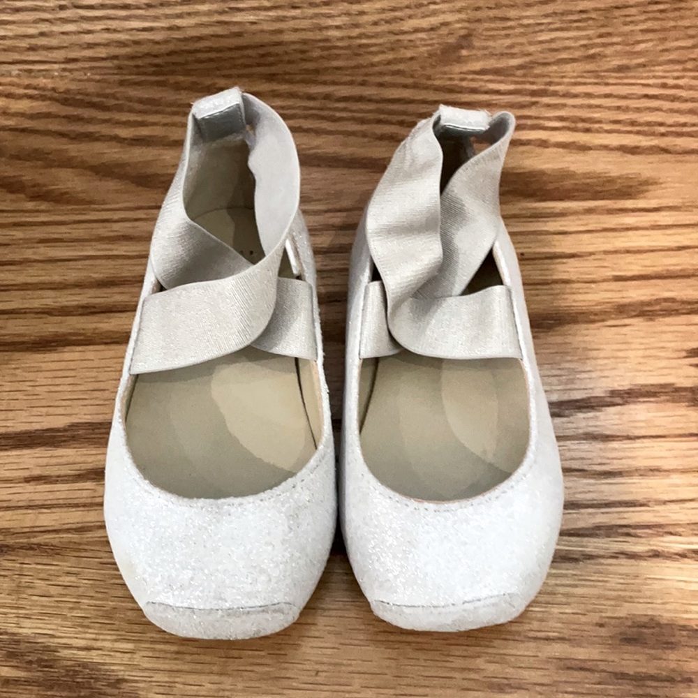 Dressy Ballet Style Shoes